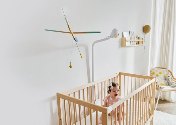 【あす楽対応可】楽天市場正規販売店についてのご案内