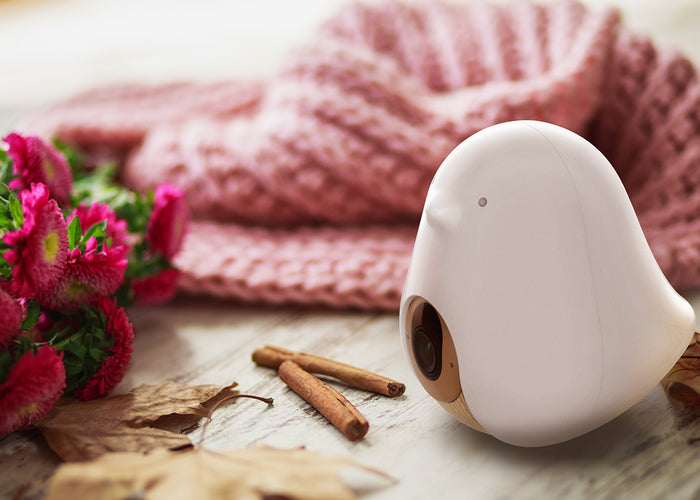 【あす楽対応可】スマートベビーモニター同梱商品に関するご案内