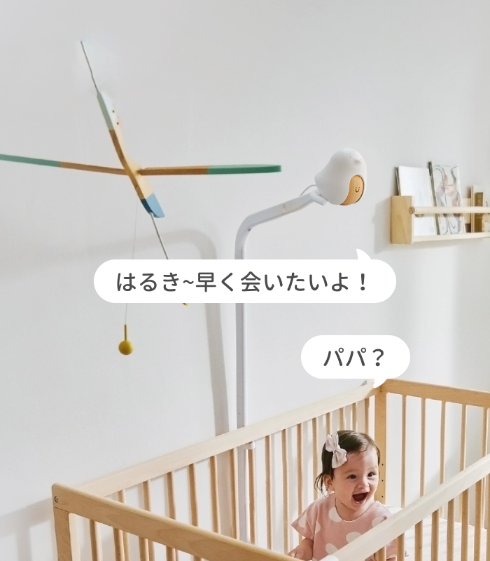BABYTECTOR ベビテクター【展示使用品訳あり1点モノ】